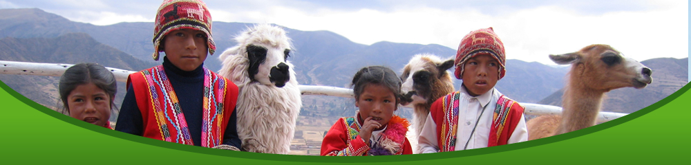 children with camels